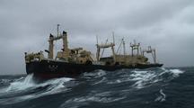 Japan Whaling